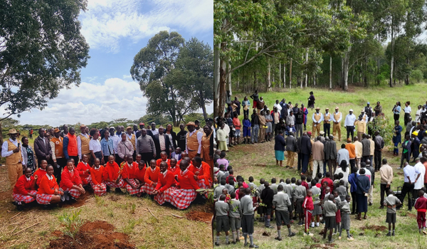 University of Eldoret Marks World Environment Day with Tree Growing Drive, Advancing 