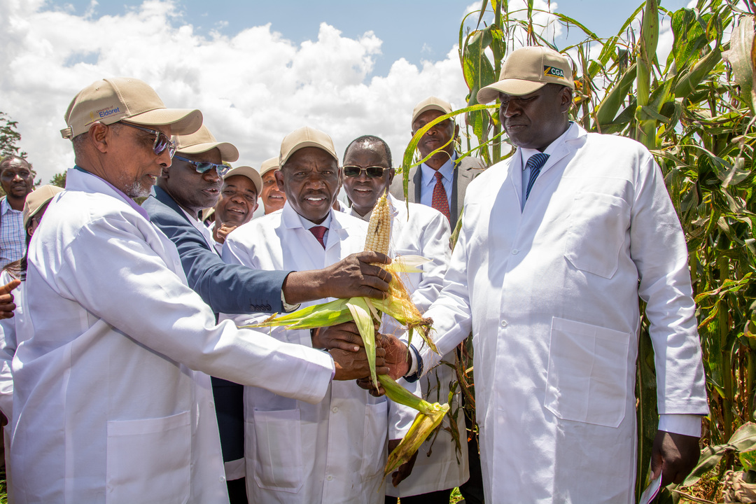 University of Eldoret Hosts the 18th Agribusiness Trade Fair 2025