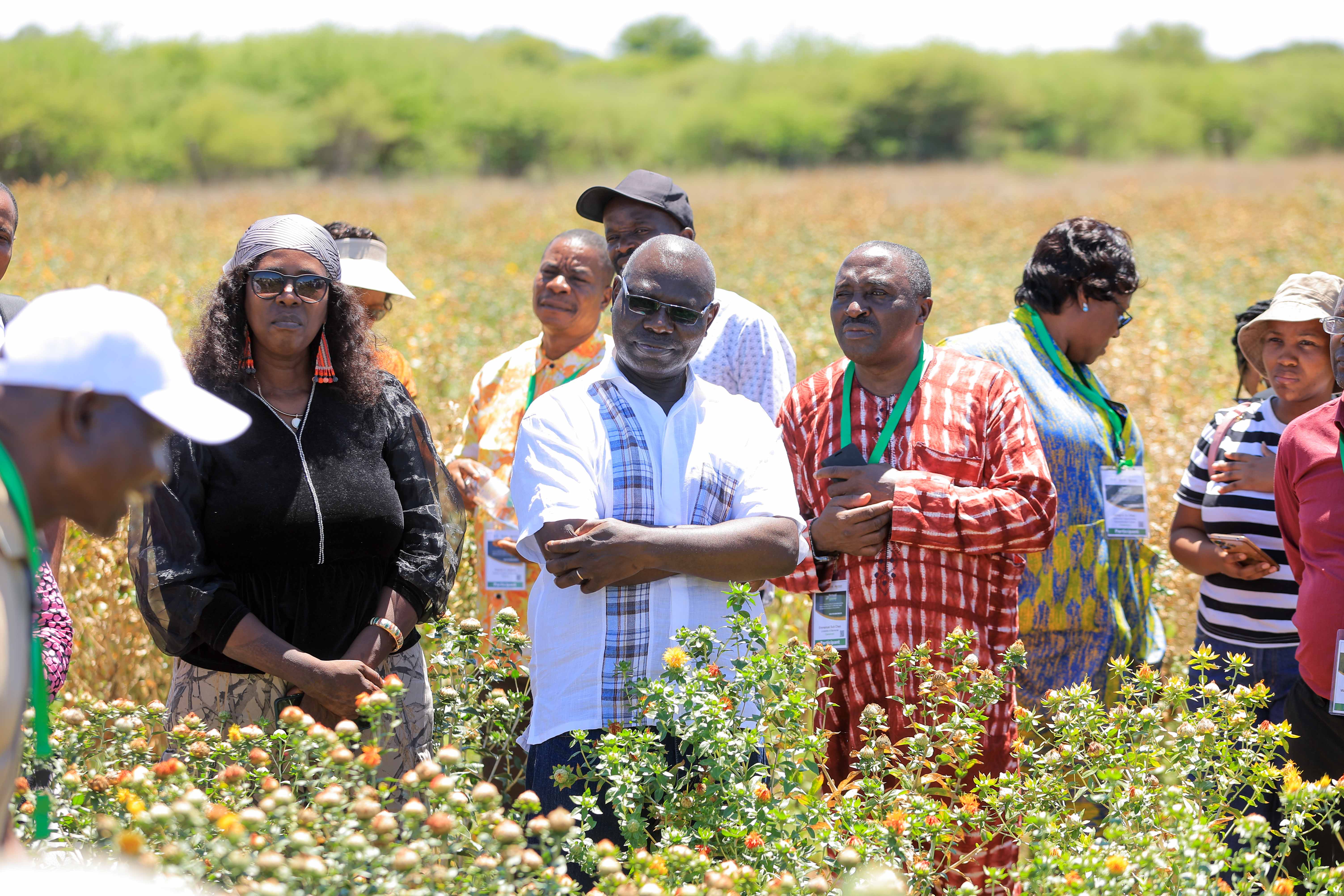 Safflower farm visit in Botswana,in picture is Prof. Julius Ochuodho, Coordinator TAGDev 2.0 University of Eldoret