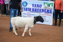 University of Eldoret Hosts the 18th Agribusiness Trade Fair 2025