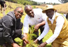 TAGDev 2.0 at the University of Eldoret Joins Reforestation Drive in Kessup Forest