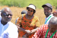 Safflower farm visit